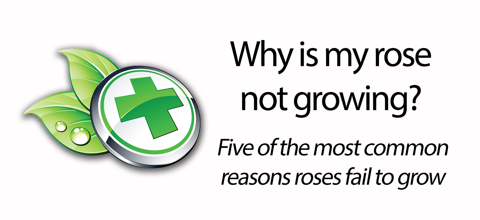 Common reasons for plant failure